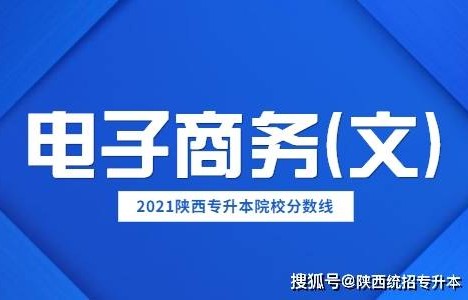 电子商务类升本专业