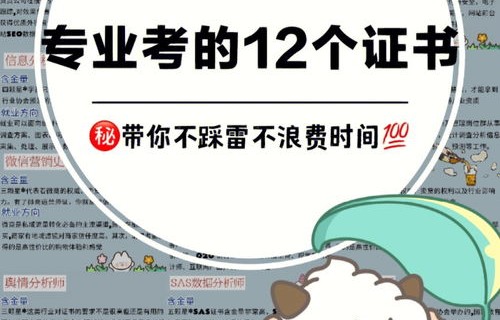 适合电子商务专业的职位