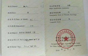 电子商务专业的培训证书