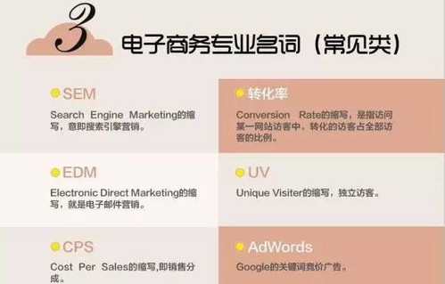 电子商务专业知识范畴