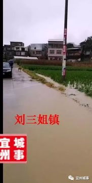 当地积极应对，道路立杆上约挂10个摄像头