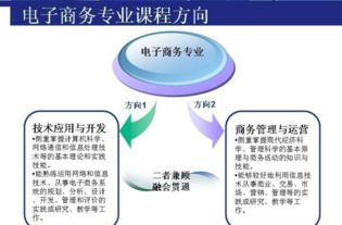 电子商务专业方向研究