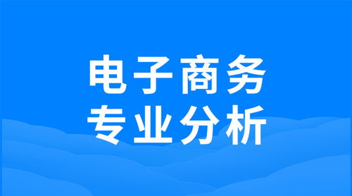 简要电子商务专业分析