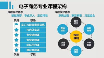 电子商务专业电脑技能