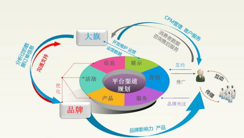 电子商务专业如何表白