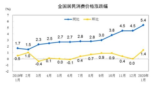 2025年1月份CPI同比上涨0.5%，分析背后的经济形势与政策应对