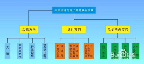 电子商务专业以后干嘛