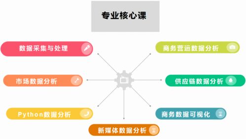 电子商务专业特色分析