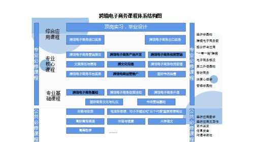 跨境电子商务专业怎么学