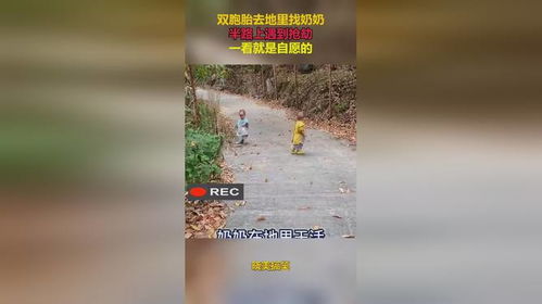 贪官收茅台让家人埋地里 上面种玉米