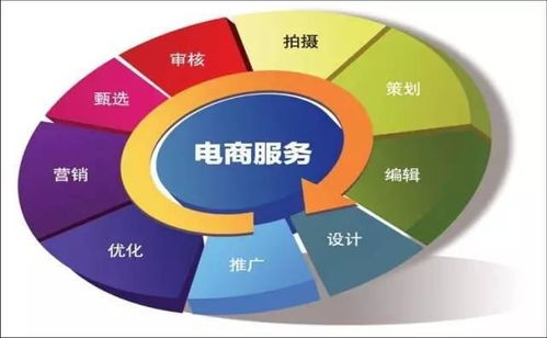 电子商务管理专业怎样学